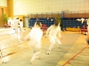 Challenge PAMS 2008