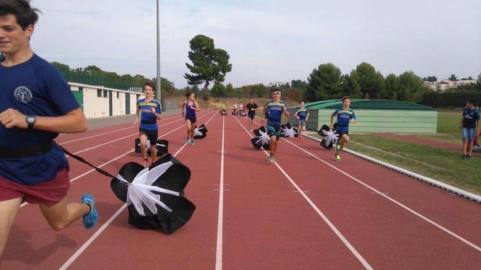 Présentation de la mascotte officielle du Pentathlon Moderne pour les Jeux  Olympiques et Paralympiques de Paris 2024 » Fédération Française de  Pentathlon Moderne